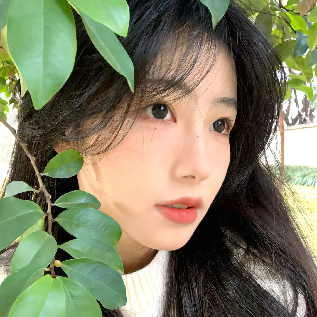 恋之光