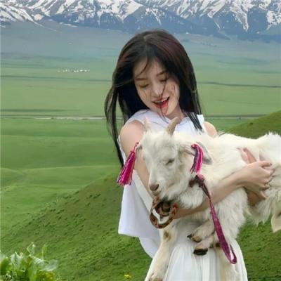 万圣节救星修比